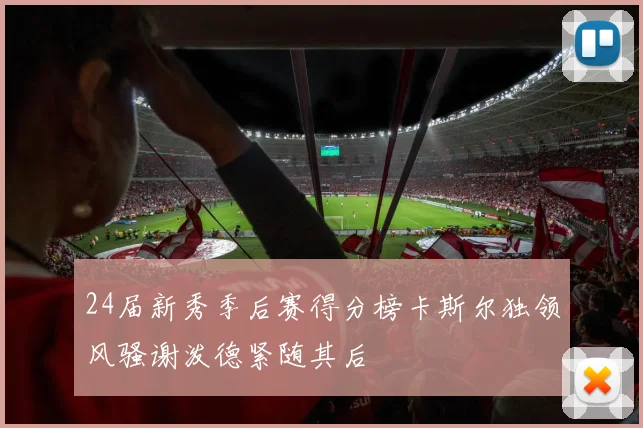 24届新秀季后赛得分榜卡斯尔独领风骚谢泼德紧随其后
