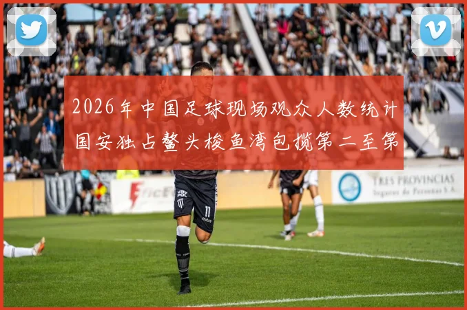 2026年中国足球现场观众人数统计国安独占鳌头梭鱼湾包揽第二至第七位